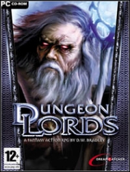 Dungeon Lords Traducción al español