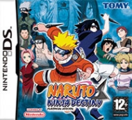 Naruto: Ninja Destiny Traducción al español