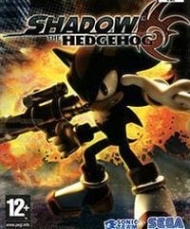 Shadow the Hedgehog Traducción al español