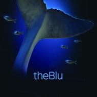 theBlu Traducción al español