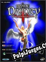 Divine Divinity (2002) | RePack from UNLEASHED