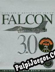 Falcon 3.0 (1991) | RePack from PSC