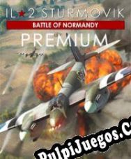 IL-2 Sturmovik: Battle of Normandy (2022/ENG/Español/Pirate)