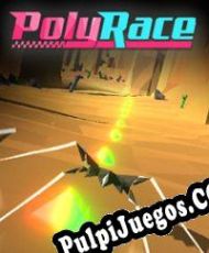 PolyRace (2016/ENG/Español/RePack from RECOiL)