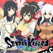 Senran Kagura Shinovi Versus (2013/ENG/Español/Pirate)