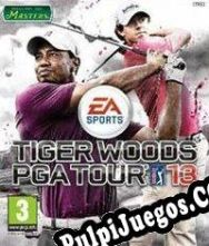 Tiger Woods PGA Tour 13 (2012/ENG/Español/Pirate)