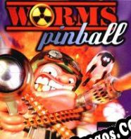 Worms Pinball (2011/ENG/Español/RePack from MP2K)