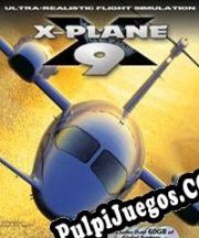 X-Plane 9 (2008/ENG/Español/Pirate)