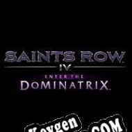 Saints Row IV: Enter the Dominatrix generador de claves