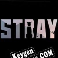 Stray (Robot Gentleman) generador de claves