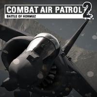 Combat Air Patrol 2: Military Flight Simulator: Cheats, Trainer +11 [MrAntiFan]