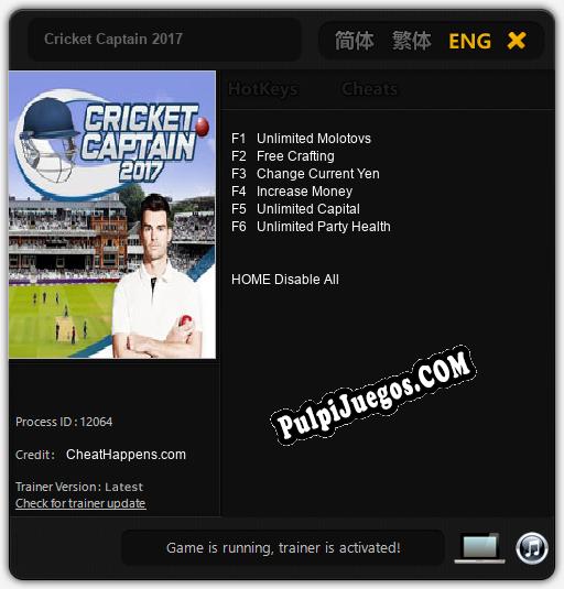 Cricket Captain 2017: Trainer +6 [v1.1]