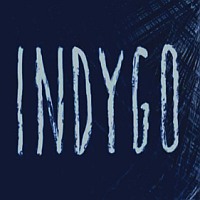 Indygo: Trainer +9 [v1.9]