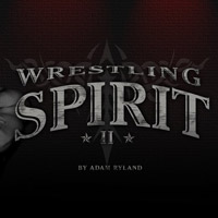 Wrestling Spirit 2: Cheats, Trainer +12 [MrAntiFan]